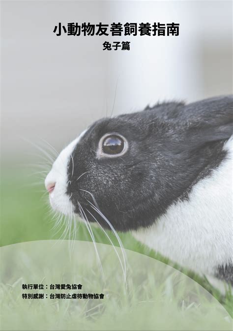 兔子飼養環境 竹均 注音